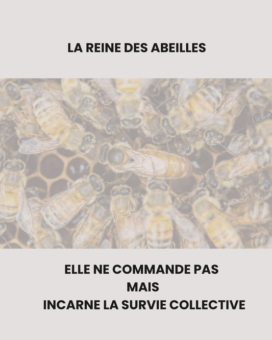 La reine des abeilles - elle ne commande pas, mais incarne la survie collective