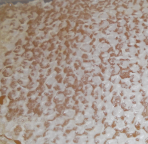 Miel Rayon