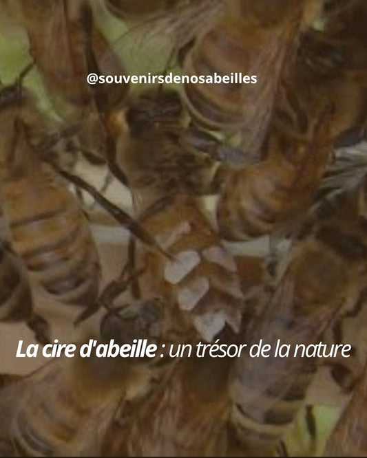 La cire d'abeille : un trésor de la nature